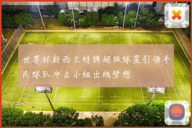 世界杯新西兰特辑超级球星引领平民球队冲击小组出线梦想